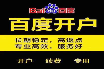 百度SEM推广案例：助力中小企业实现弯道超车